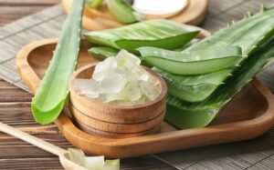 Descubra os principais benefícios do Aloe vera para a sua saúde!